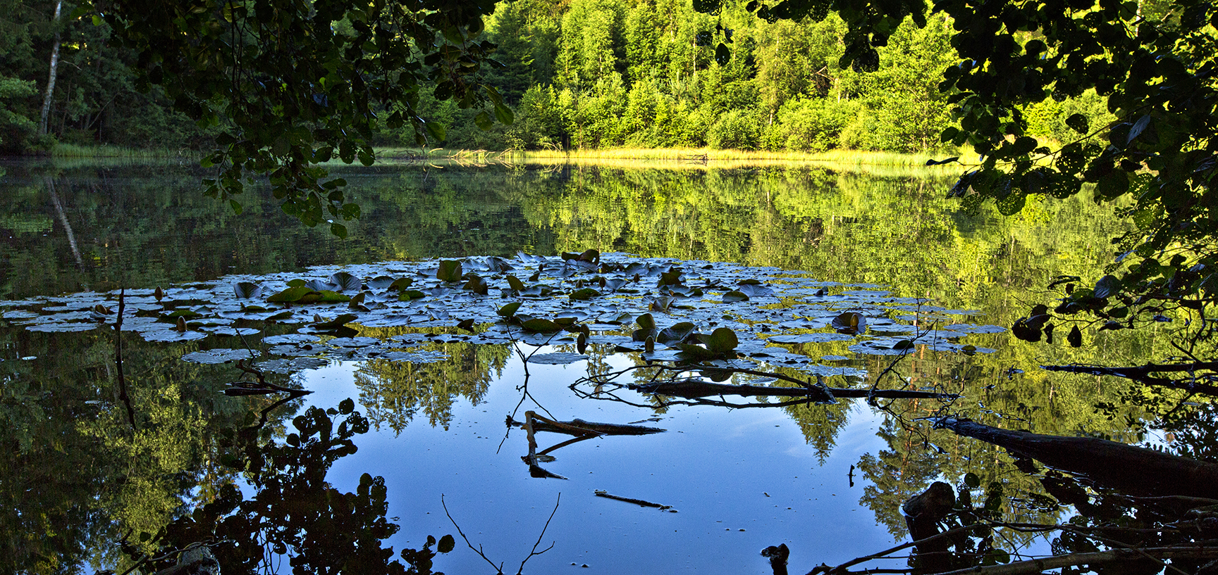 Hotel Kupper Restaurant Eppenbrunn Rheinland-Pfalz 
