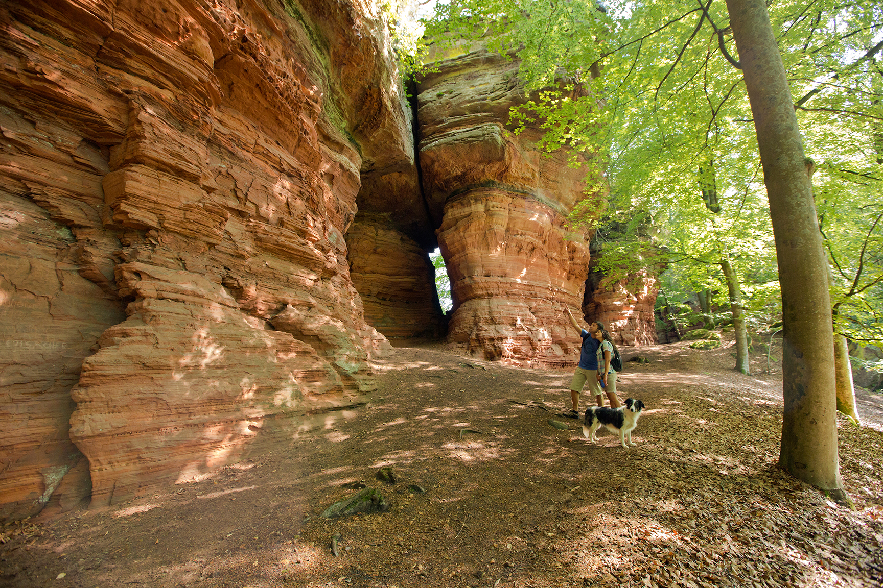 Hotel Kupper Restaurant Eppenbrunn Rheinland-Pfalz Altschlosspfad