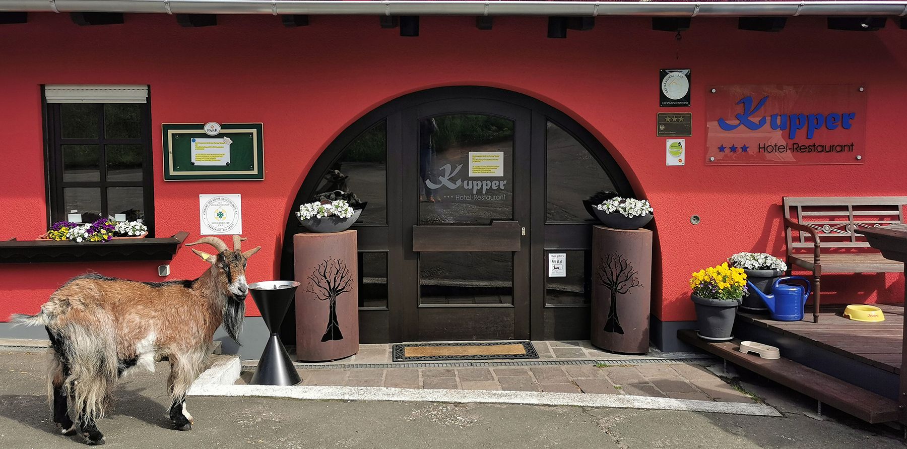Hotel Restaurant Kupper Biergarten Eppenbrunn Pfälzerwald Erholungsgebiet Luftkurort Naturpark Nordvogesen Deutschland Frankreich aussen 3